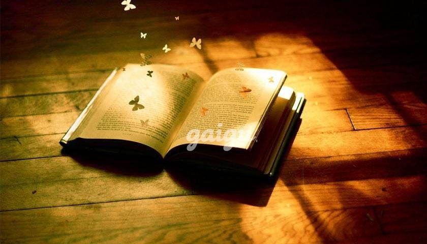 ✅ Quỳnh cool ❤️ Em gái quảng nam múp✨ SIÊU NHIỆT TÌNH